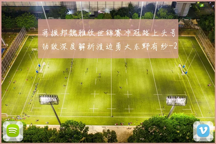 蒋振邦魏雅欣世锦赛冲冠路上头号劲敌深度解析渡边勇大东野有纱